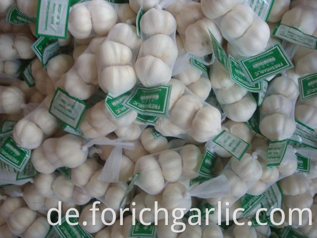 Pure White Garlic